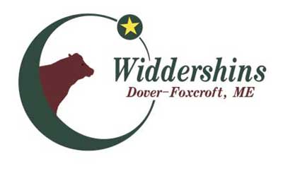 Widdershins Logo