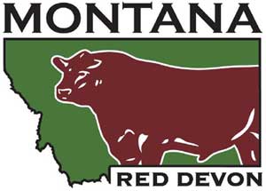 Montana Red Devons