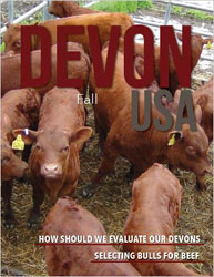 Devon USA Magazine