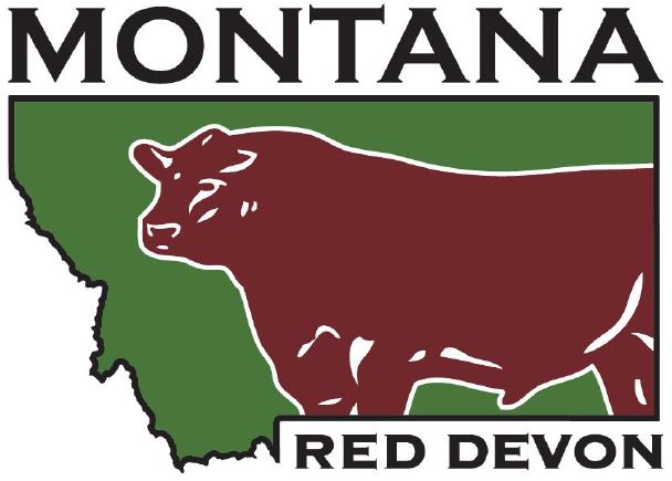 Montana Red Devons